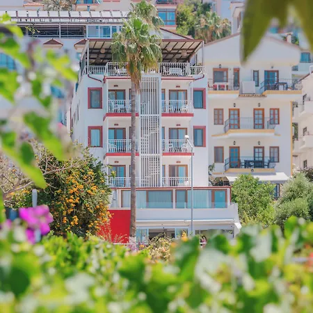 Hotel No37